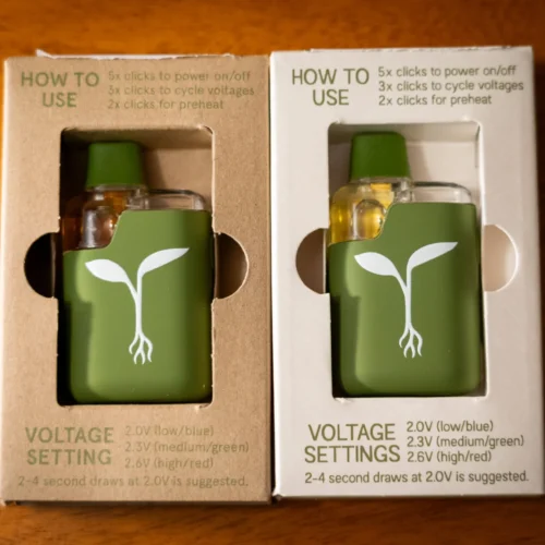 Raw Garden Lush Ice Disposable Vape 4000 Puffs