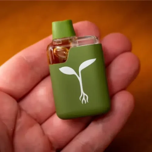 Raw Garden Cool Mint Disposable Vape 8000 Puffs