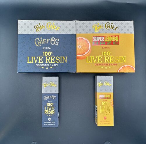 Big Chief Strawberry Chill Disposable Vape 8000 Puffs